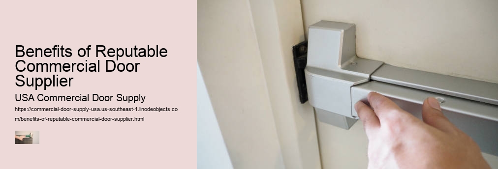 Benefits of Reputable Commercial Door Supplier